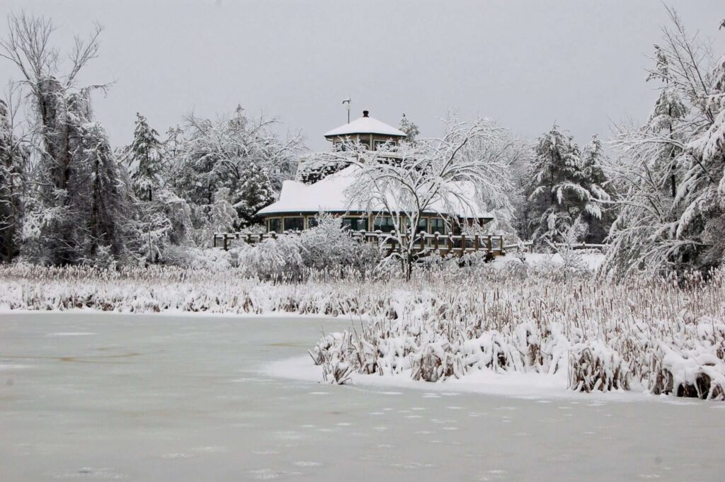 Kingston slams ‘forced’ merger of Ontario’s conservation authorities Kingston slams ‘forced’ merger of Ontario’s conservation authorities