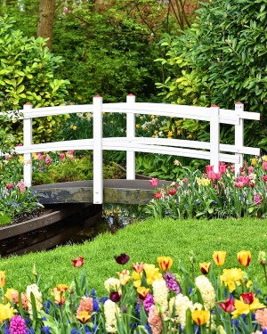 Obituary for Louise Regina (Burzese) Slavik Obituary for Louise Regina (Burzese) Slavik