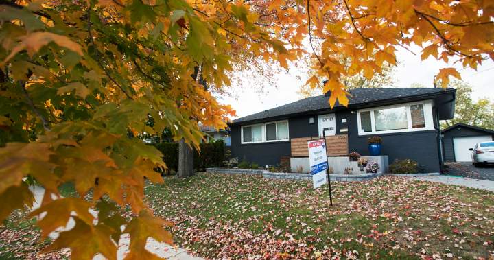 Ontario city to fine homeowners who block public paths with loose leaves Ontario city to fine homeowners who block public paths with loose leaves