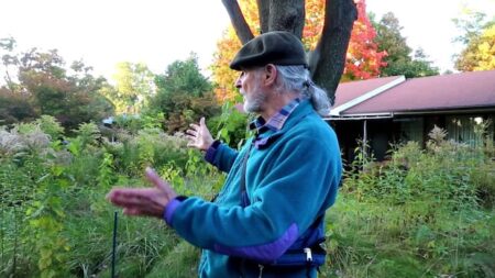 Mississauga Resident Wins Legal Battle Over Lawn Care Rules Mississauga Resident Wins Legal Battle Over Lawn Care Rules