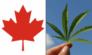 Growing Support for Cannabis Legalization in Canada Growing Support for Cannabis Legalization in Canada