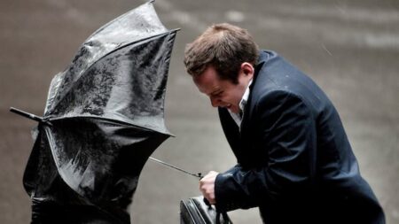 Expect a windy day across Niagara, Hamilton, Burlington and Brantford, Environment Canada says Expect a windy day across Niagara, Hamilton, Burlington and Brantford, Environment Canada says