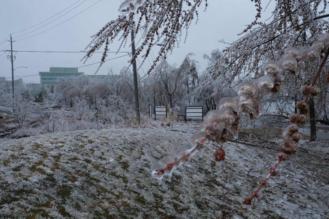 Power Outages Persist in Peterborough Following Ice Storm 6 Icy Millenium Park