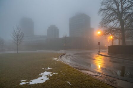 Unusual January Weather Hits London, Ontario Unusual January Weather Hits London, Ontario