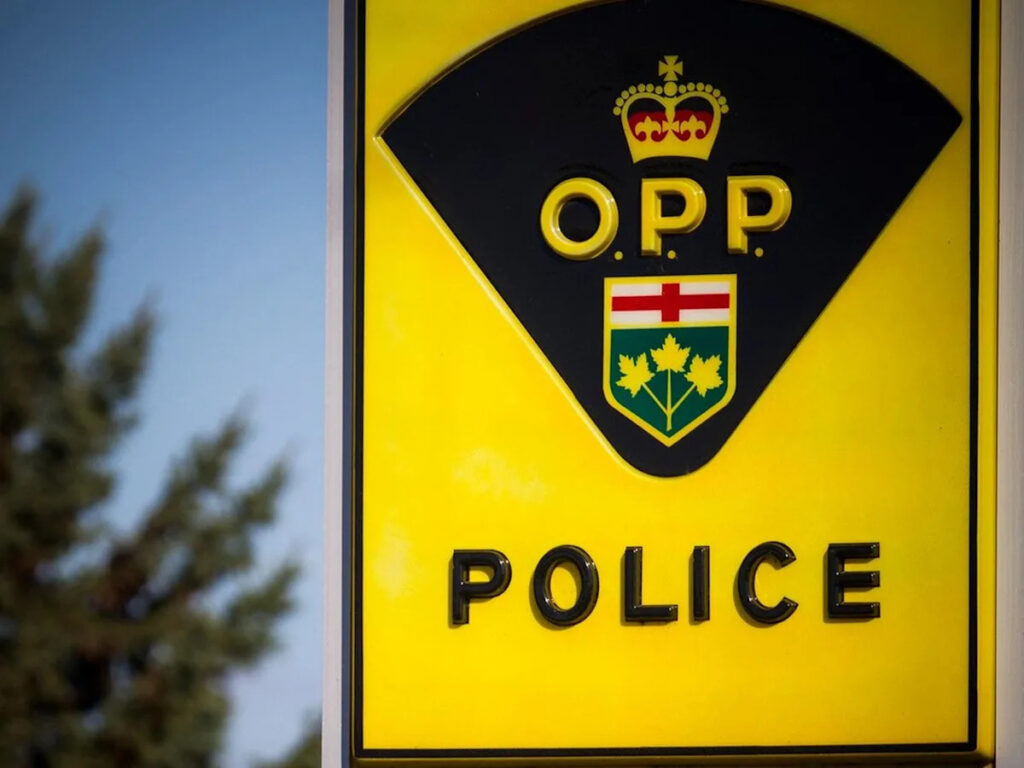 Ottawa Man Faces Charges for Assault in Renfrew Ottawa Man Faces Charges for Assault in Renfrew