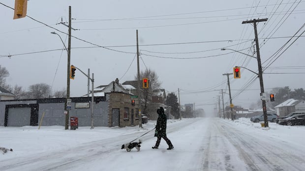 Hamilton Mayor Advises Residents to Stay Safe During Winter Storm Hamilton Mayor Advises Residents to Stay Safe During Winter Storm