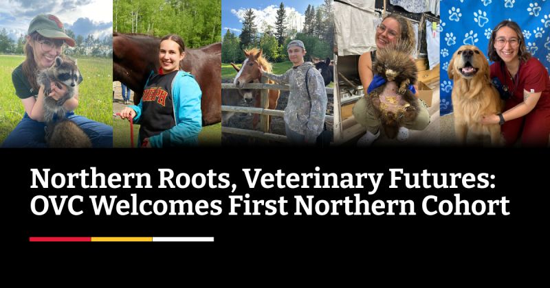 First Group of Northern Students Starts Vet Program First Group of Northern Students Starts Vet Program