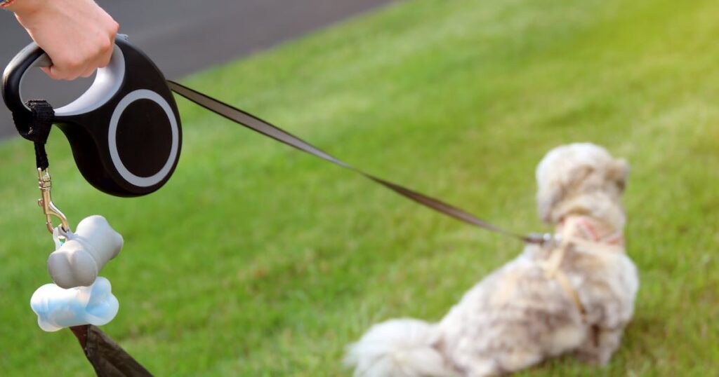 Hamilton Woman Wins Appeal After Keeping 64 Dogs Hamilton Woman Wins Appeal After Keeping 64 Dogs