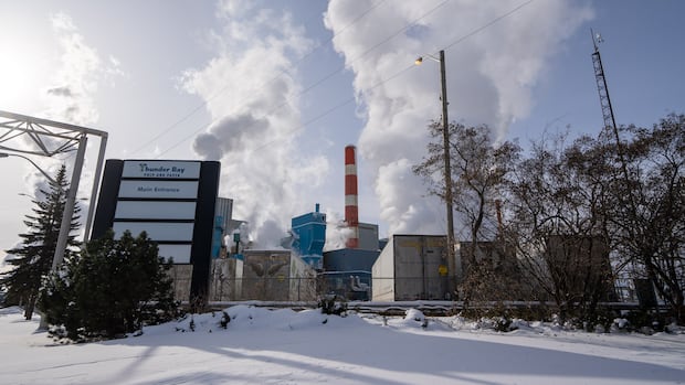 Thunder Bay Mill Union Pushes for New Directions After Shutdown Thunder Bay Mill Union Pushes for New Directions After Shutdown