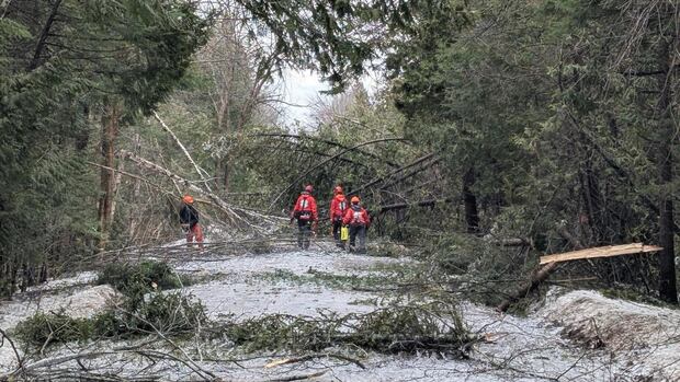 Ice Storm Recovery Efforts in Peterborough, Ontario Ice Storm Recovery Efforts in Peterborough, Ontario