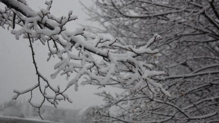 Increased Crashes Reported in Windsor Due to Snow Increased Crashes Reported in Windsor Due to Snow