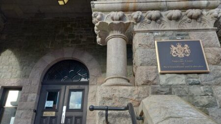Newfoundland Man Continues Battle for Voting Rights Newfoundland Man Continues Battle for Voting Rights