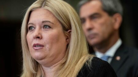 Conservatives Urge Limits on Refugee Health Care Benefits Conservatives Urge Limits on Refugee Health Care Benefits