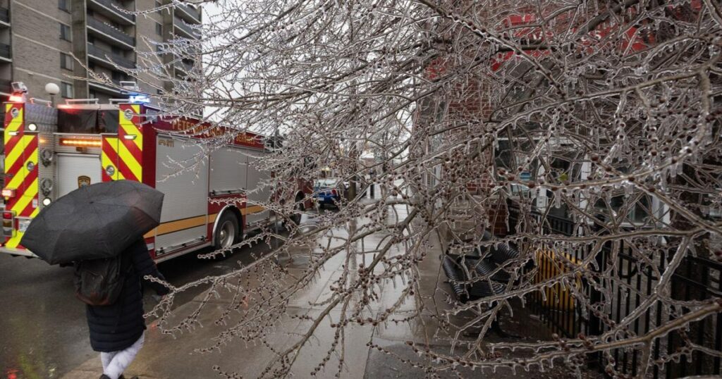 Peterborough Declares State of Emergency Due to Ice Storm Peterborough Declares State of Emergency Due to Ice Storm