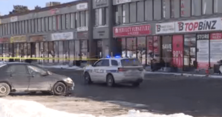 Man Arrested After Fatal Attacks in Mississauga Man Arrested After Fatal Attacks in Mississauga