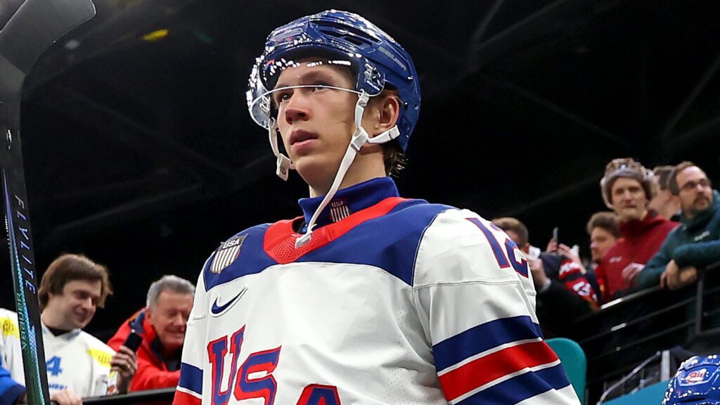 Minnesota Player Maple Leafs Could Use Minnesota Player Maple Leafs Could Use