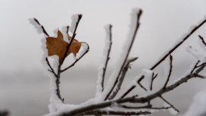 Family Day 2026 in Ottawa: What’s Open and Closed Family Day 2026 in Ottawa: What’s Open and Closed