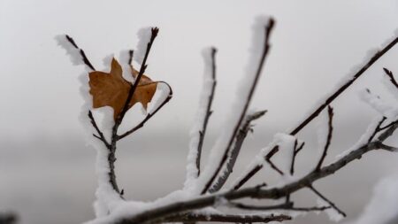 Family Day 2026 in Ottawa: What’s Open and Closed Family Day 2026 in Ottawa: What’s Open and Closed
