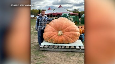 Northern Ontario farmer breaks records with giant pumpkin