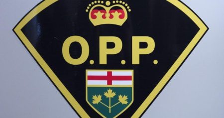 Child, 13, dead in crash involving horse-drawn buggy in Ontario