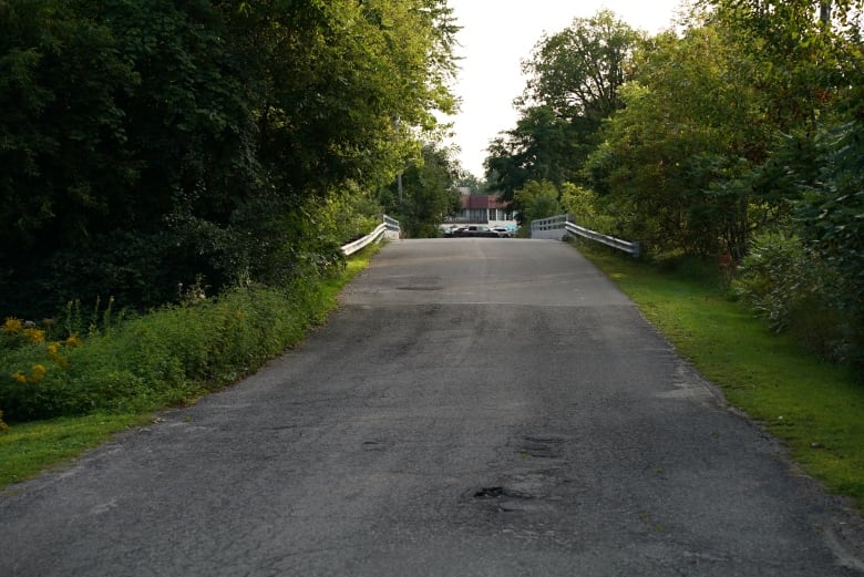 A photo of a rural bridge with trees on both sides