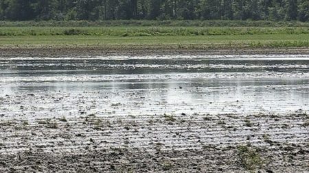 Simcoe-Muskoka rainfall warnings and watches end