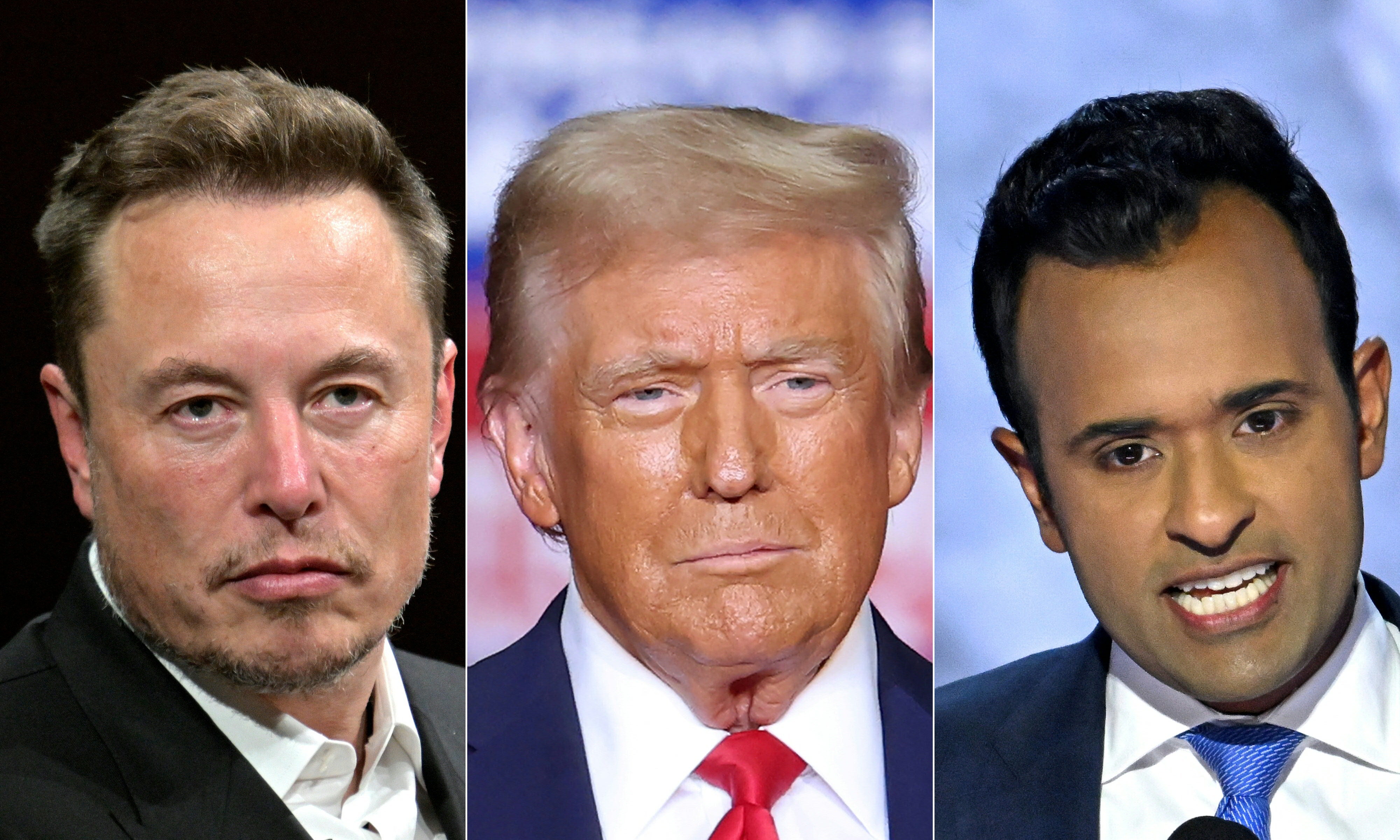 Trump has announced that Elon Musk and Vivek Ramaswamy will head up the newly-created department