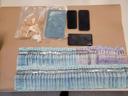 Fentanyl seizure Ontario, Brampton men charged