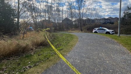 Aquaview Park: Police investigating discovery of a body in Orleans park