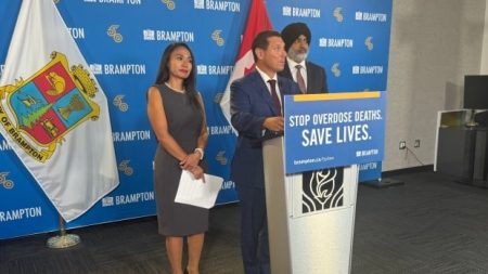 Brampton mulls forced treatment for addictions, mental health