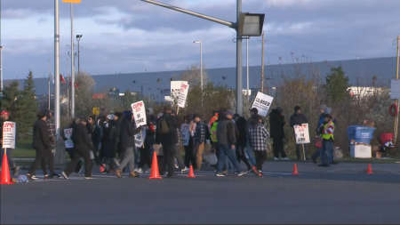 Brampton strike: buses to resume service as union allows them to cross picket