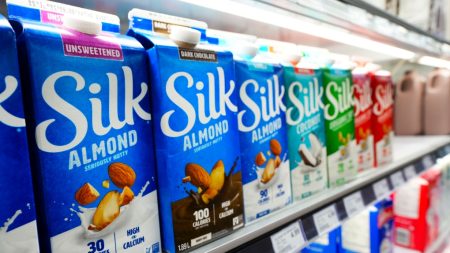 Canada Food Inspection Agency finishes Silk milk recall investigation