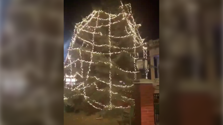 Collingwood's tree lighting sparks comparison to Orillia's 2023 headline-making tree lighting blunder