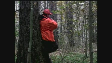 Controlled deer hunting runs this week in central Ontario