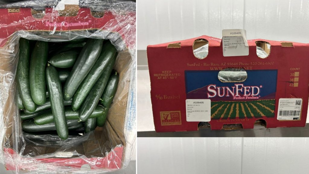 Cucumbers Bought In Ontario, Three Different Provinces Recalled ...