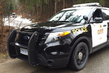 Driver killed Sunday in fiery crash in Bracebridge: OPP