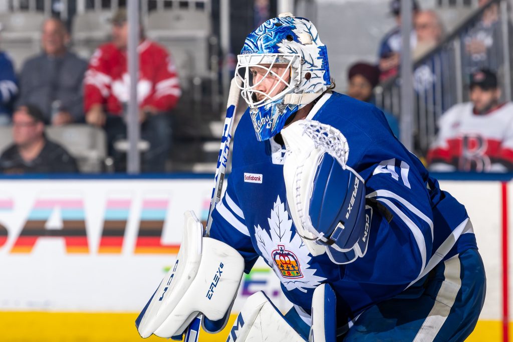 Dennis Hildeby, Toronto Marlies