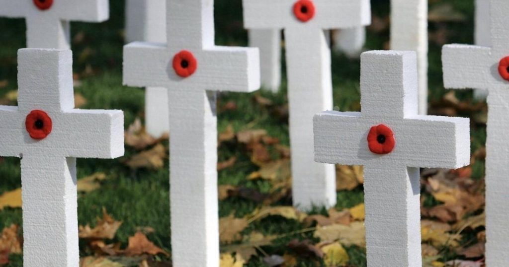 Is Remembrance Day a stat holiday in Ontario? | News