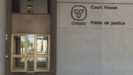 Josue Silva murder trial continues in London Ont.