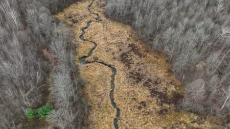 Large wetland near Tewin development gets protected