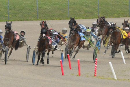 Legendary Puslinch harness trainer suspended 10 years