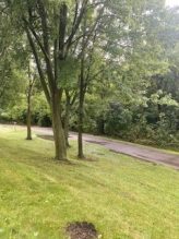 Little Etobicoke Creek north of Burnhamthorpe