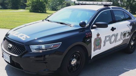 Man arrested following alleged purse robbery attempt in St. Catharines