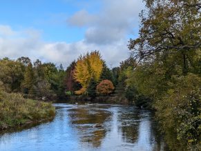 Meadowvale Conservation 11