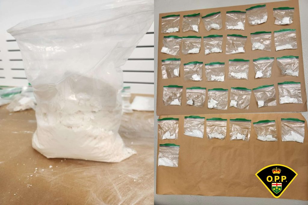 Nearly two kilos of cocaine seized in multi-county bust