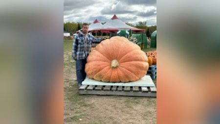 Northern Ontario man wins competition for largest pumpkin in the province