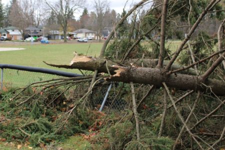 Northern Tornadoes Project confirms Fergus tornado