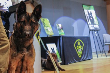 OPP canine 2025 calendar launched, proceeds go to charity