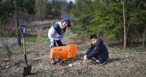Richmond Hill Recognized for Increasing Tree Canopy