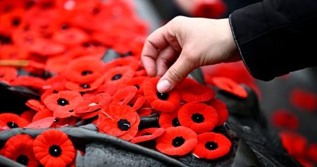 Ottawa school board investigating after Remembrance Day song choice sparks backlash - Ottawa